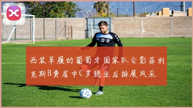 西装革履的葡萄牙国家队合影菲利克斯B费居中C罗稳坐后排展风采